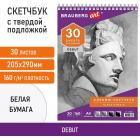 ��������, ����� ������ 160 �/�2, 205�290 ��, 30 �., �������, ������ ��������, BRAUBERG ART 