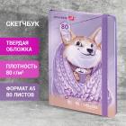 ��������, ����� ������ 80 �/�2, 145�203 ��, 80 �., �������, �������, BRAUBERG ART DEBUT 