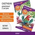 -     100 /2, 205290 , 50 .,  2 ., BRAUBERG, 880274