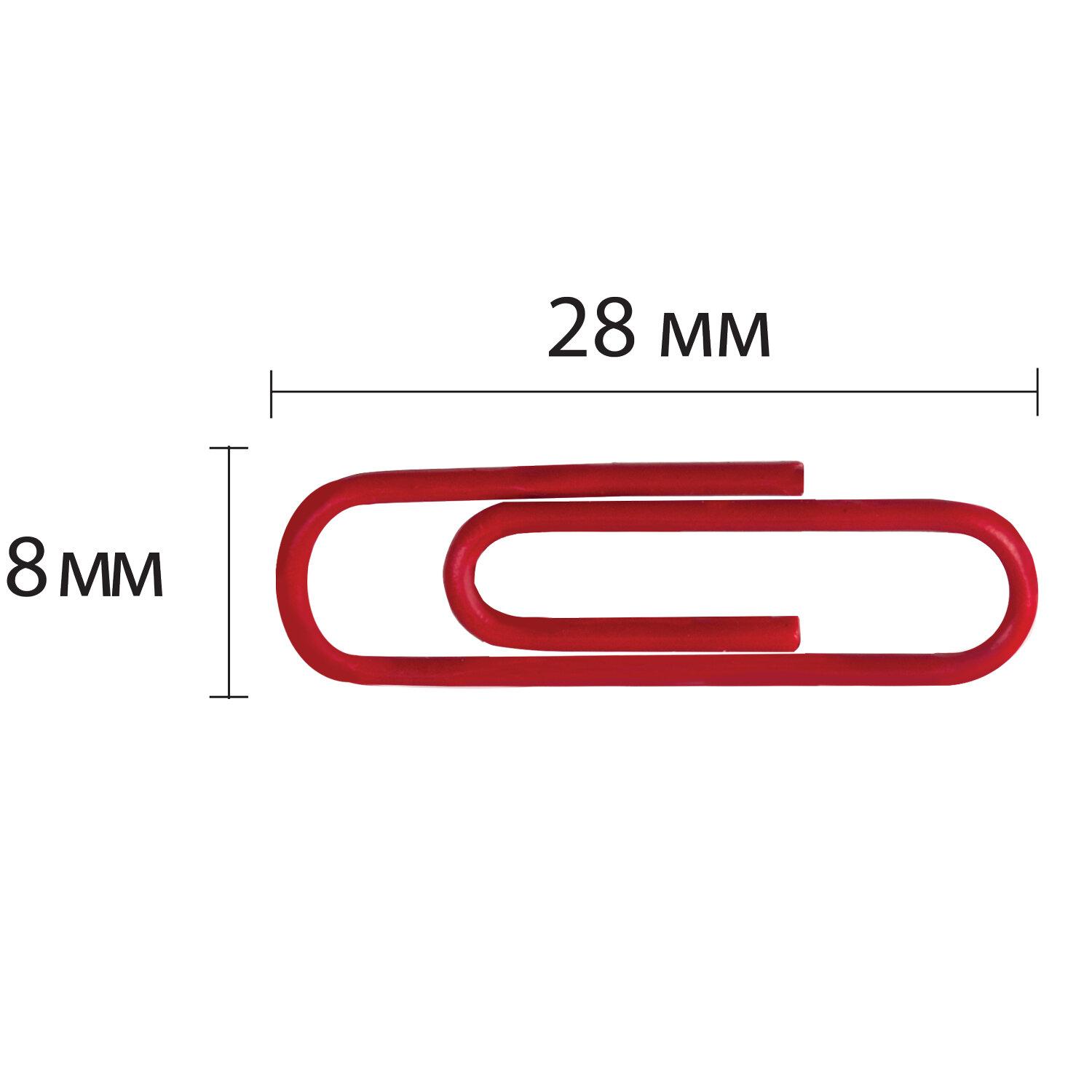  BRAUBERG, 28 , , 100 .,   , , 220555