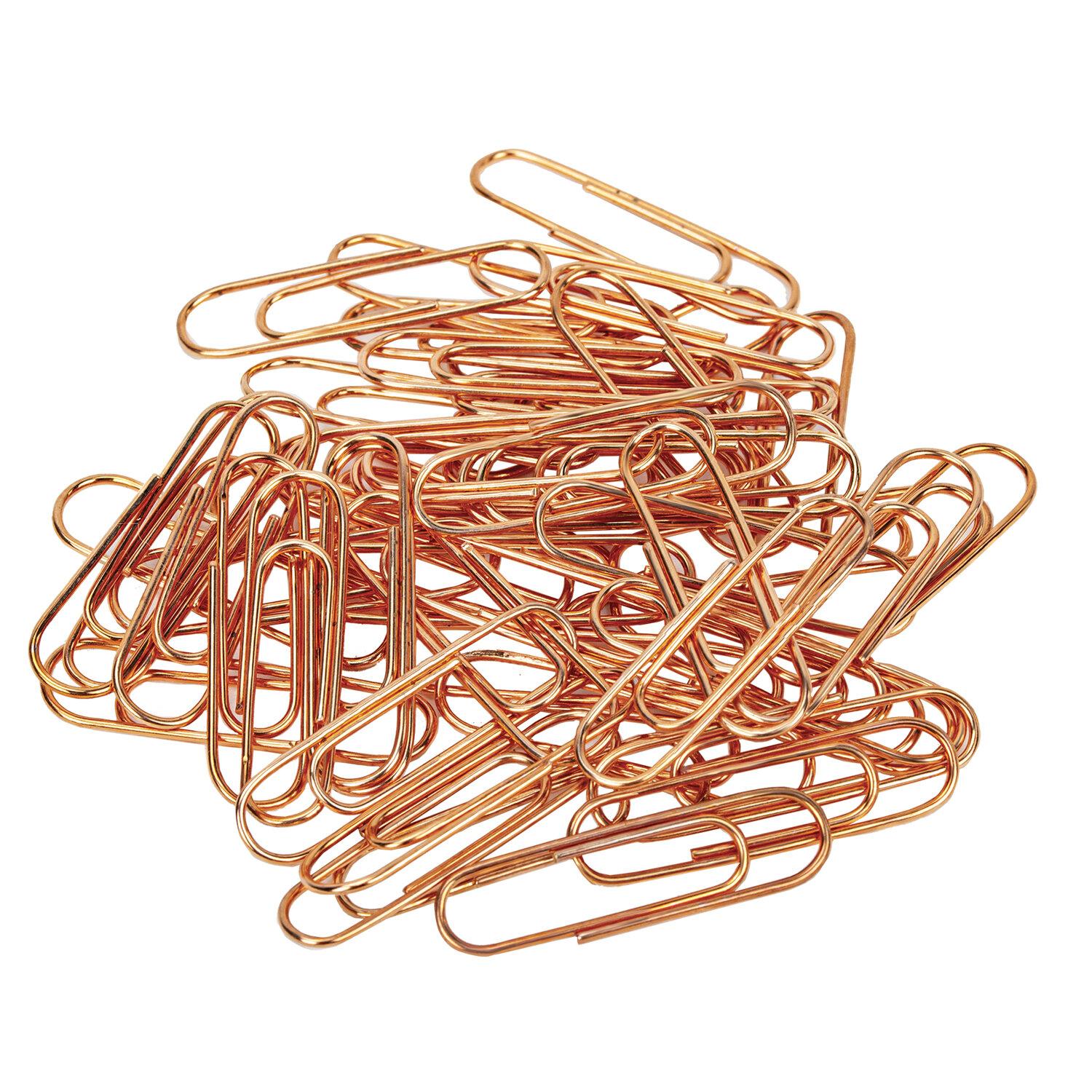  BRAUBERG, 28 , , 100 .,   , 270448