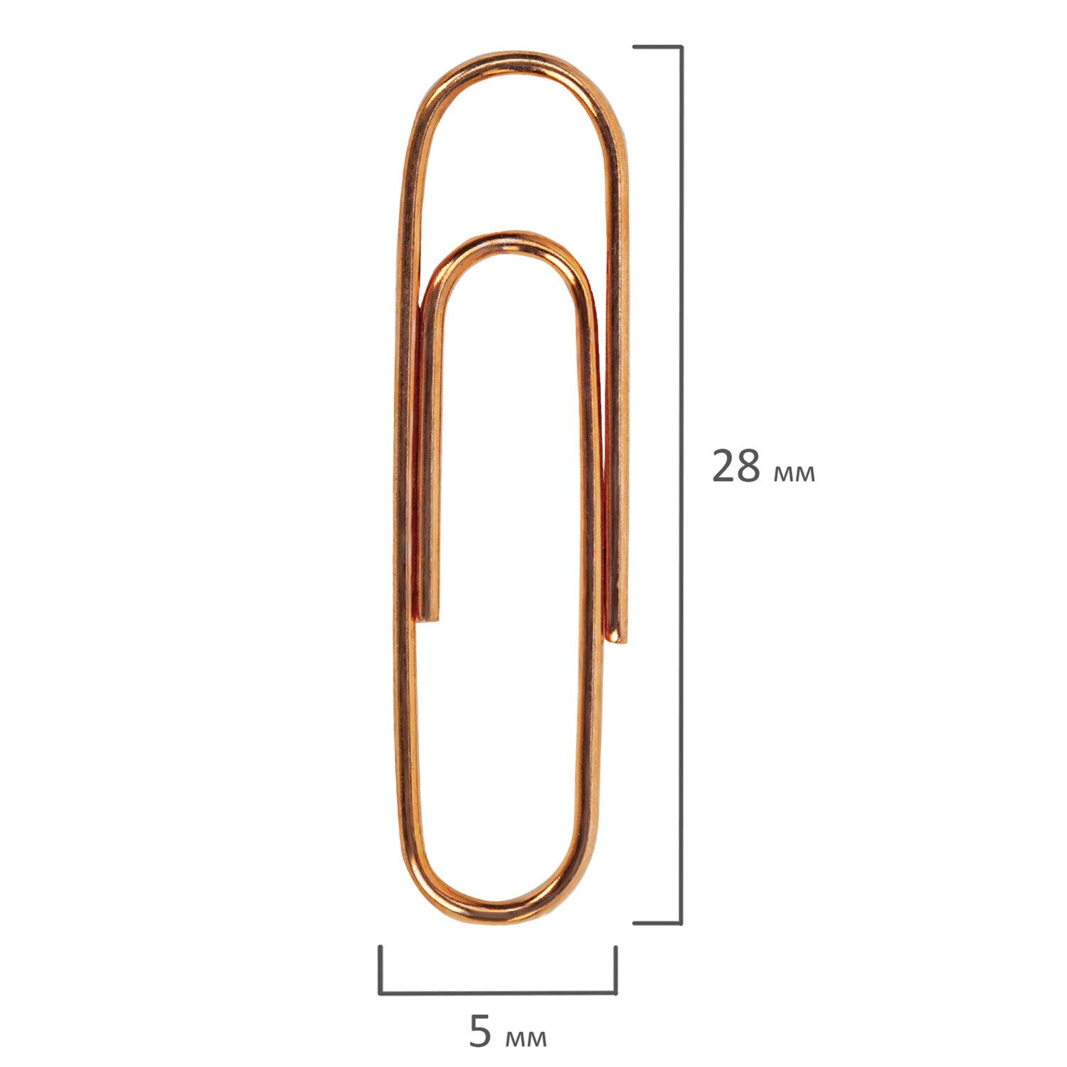  BRAUBERG, 28 , , 100 .,   , 270448