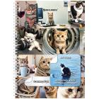 ��������� ������ ������ �6, 16 ������, 96 ������� ��������, �� ������, BRAUBERG, 