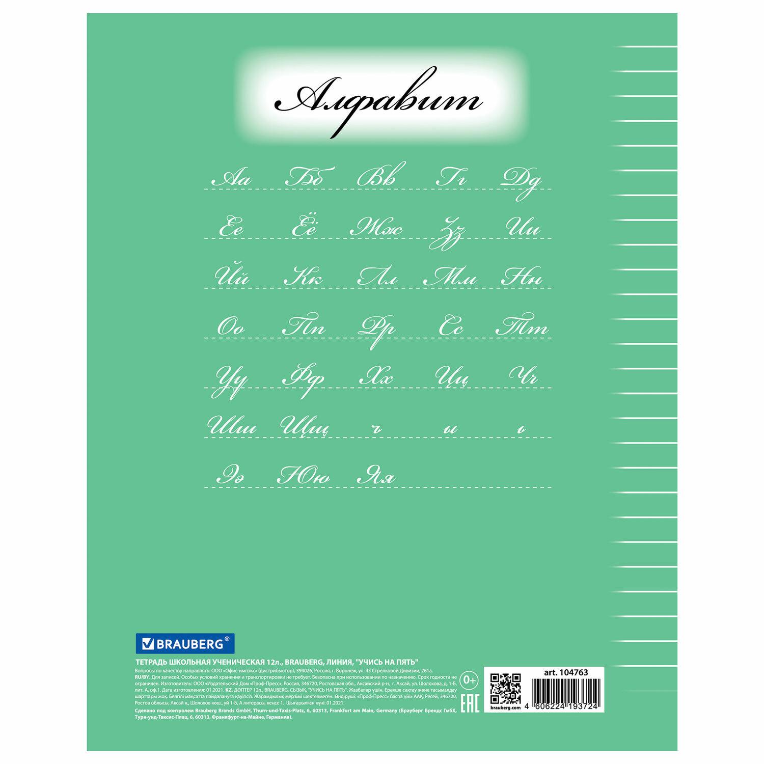  12 . BRAUBERG  5-, ,    , , 104763