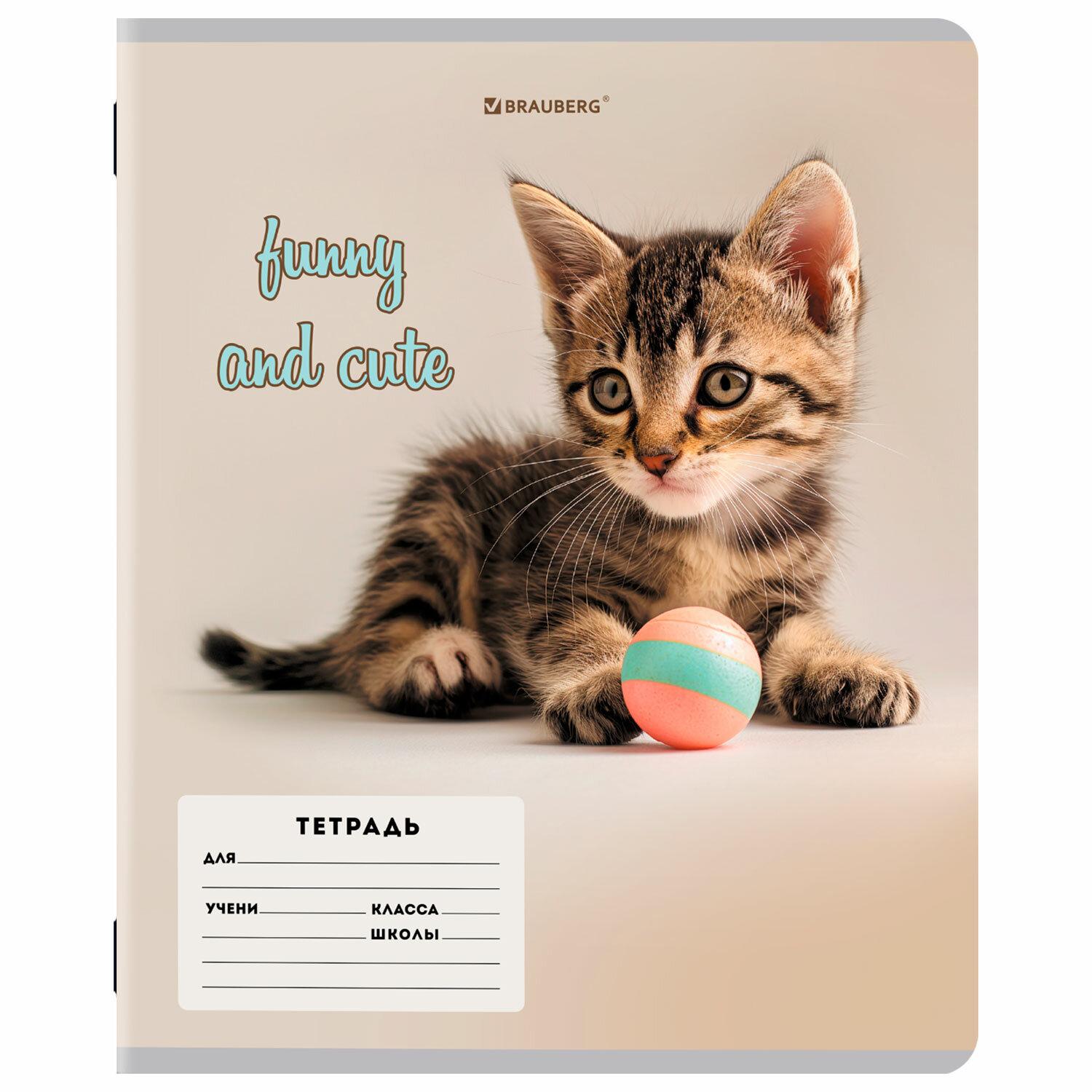  12 . BRAUBERG  ,  , CATS AND DOGS, 107288