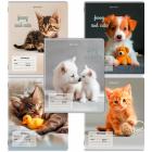  12 . BRAUBERG  ,  , CATS AND DOGS, 107288