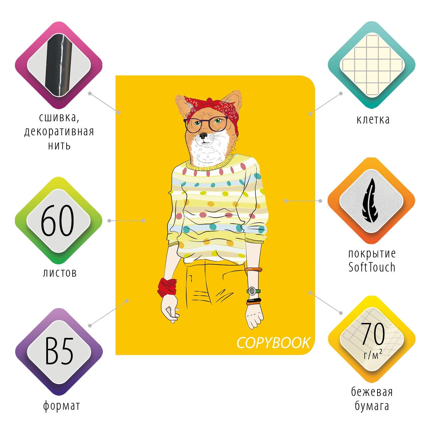  60 .    SoftTouch,   70 /2, , 5 (179250 ), FOXY, BRAUBERG, 403815