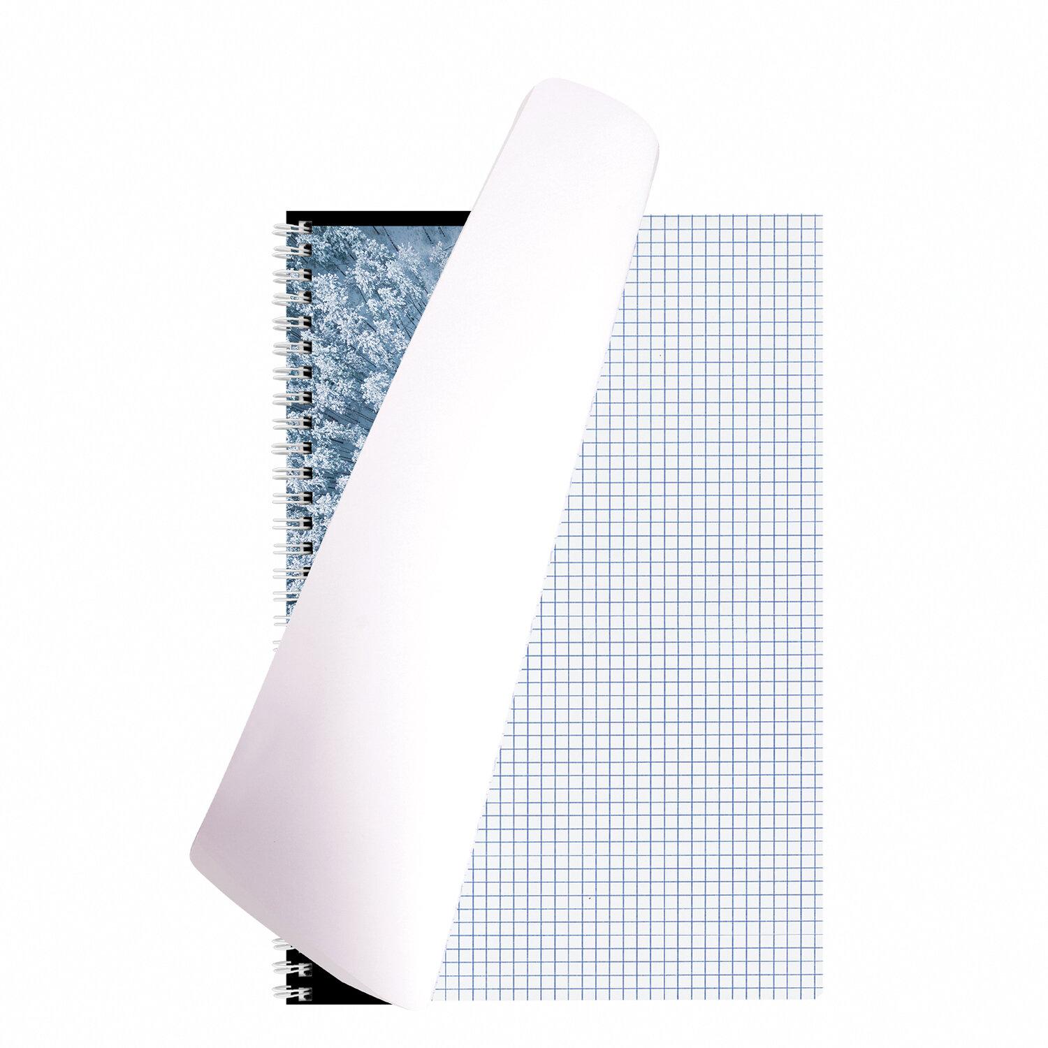  4, 120 ., BRAUBERG , ,  , Seasons, 404071