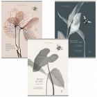  4 80 . , , , Soft Touch, , 