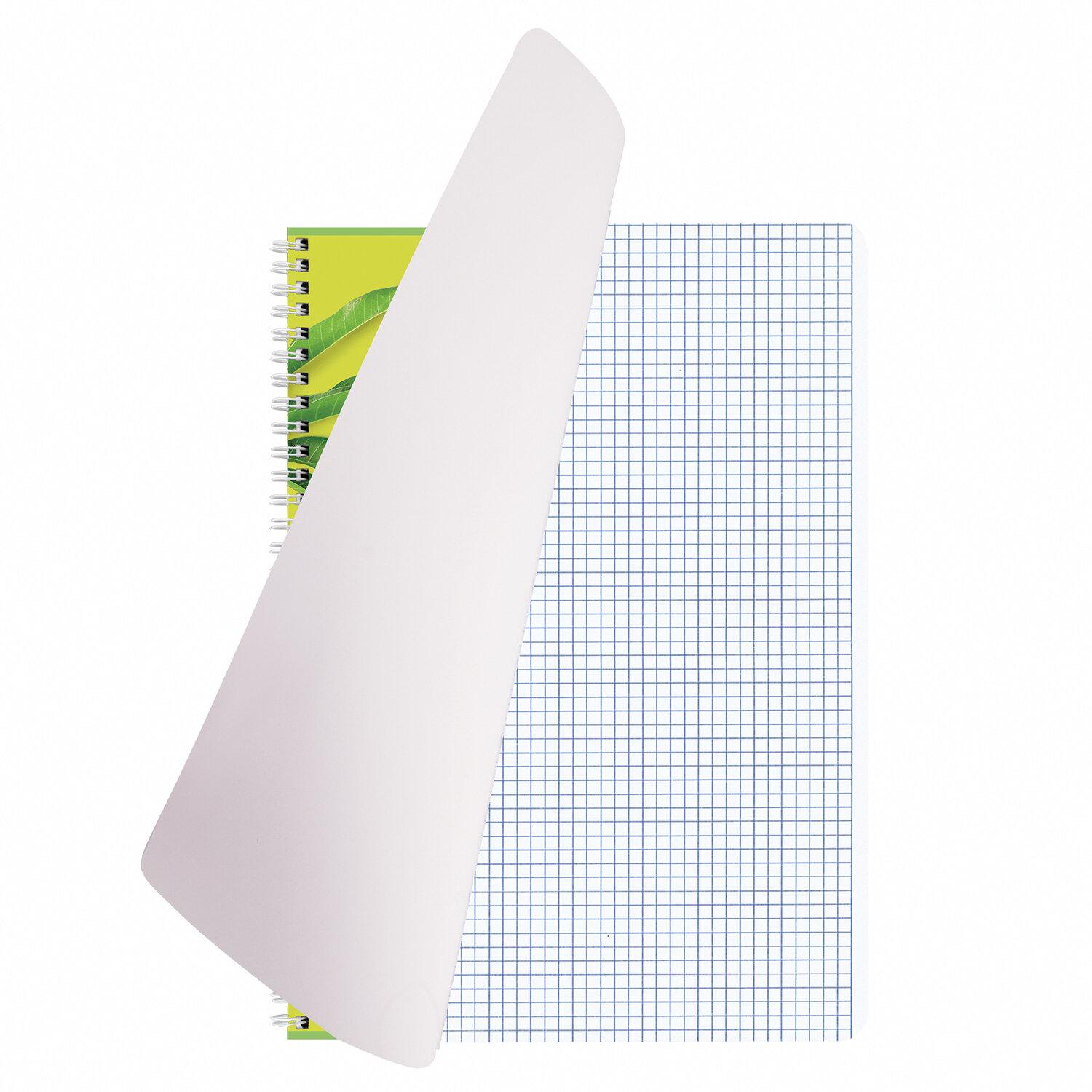  4, 96 ., BRAUBERG, , ,  , Exotic, 404062