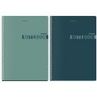  4, 96 ., BRAUBERG, , ,  , NoteColor, (  ), 405316