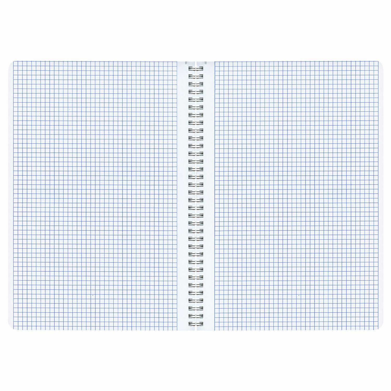  4 96 ., BRAUBERG, , , SoftTouch, Peaceful, (  ), 405312