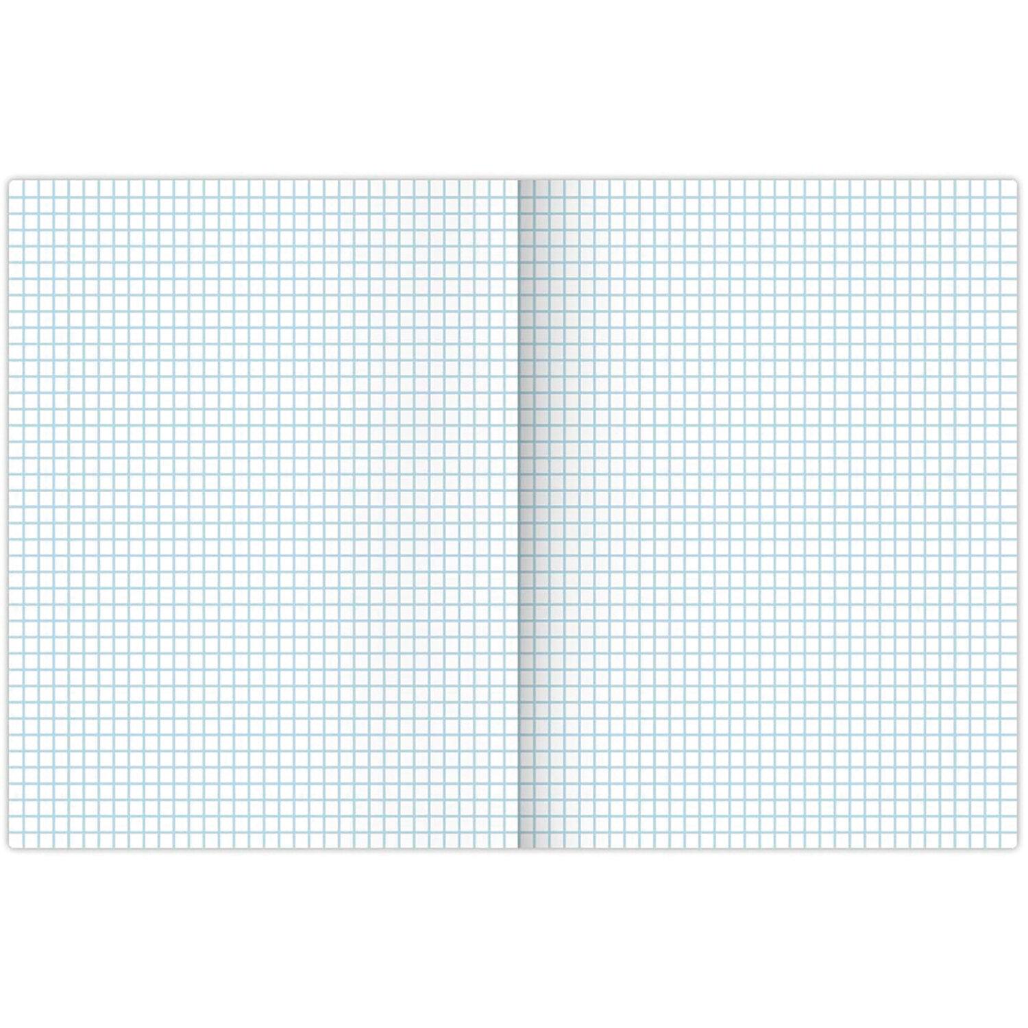  4, 96 ., BRAUBERG, , ,  , FRUITS, 404066