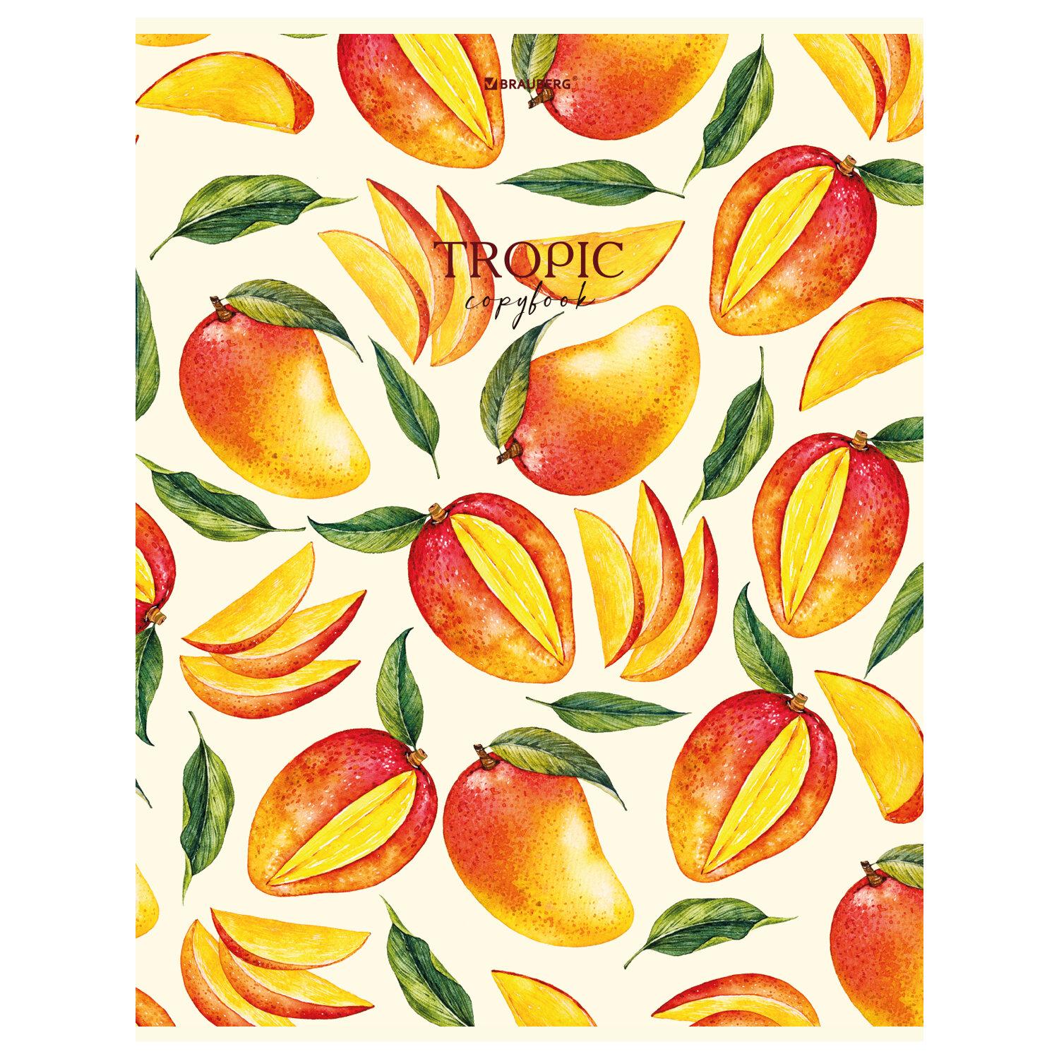  4, 96 ., BRAUBERG, , ,  , FRUITS, 404066