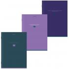  4, 96 ., BRAUBERG, , ,  , 