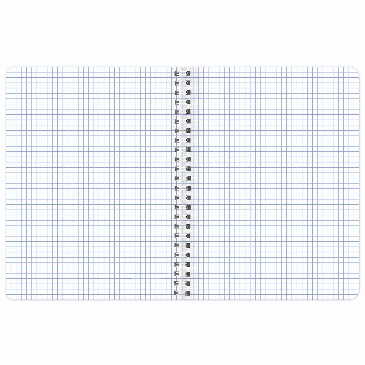  5 120 . BRAUBERG, , , Classic (4   ), 404446