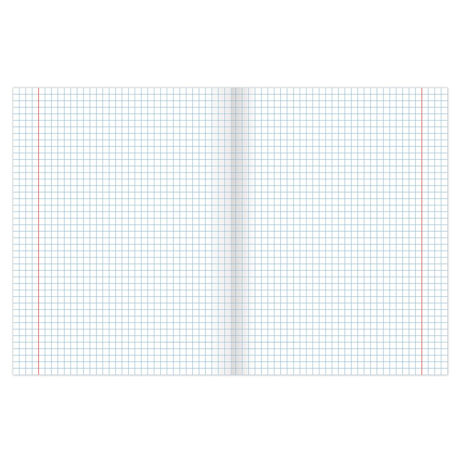  5, 48 ., BRAUBERG , ,  , , 402777
