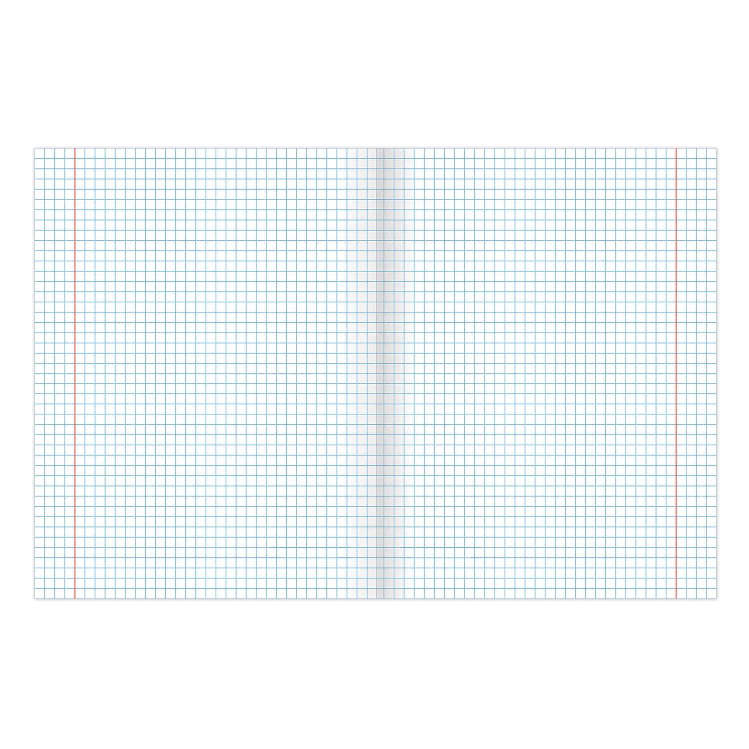  5 48 . BRAUBERG , ,  , Natural, 404359