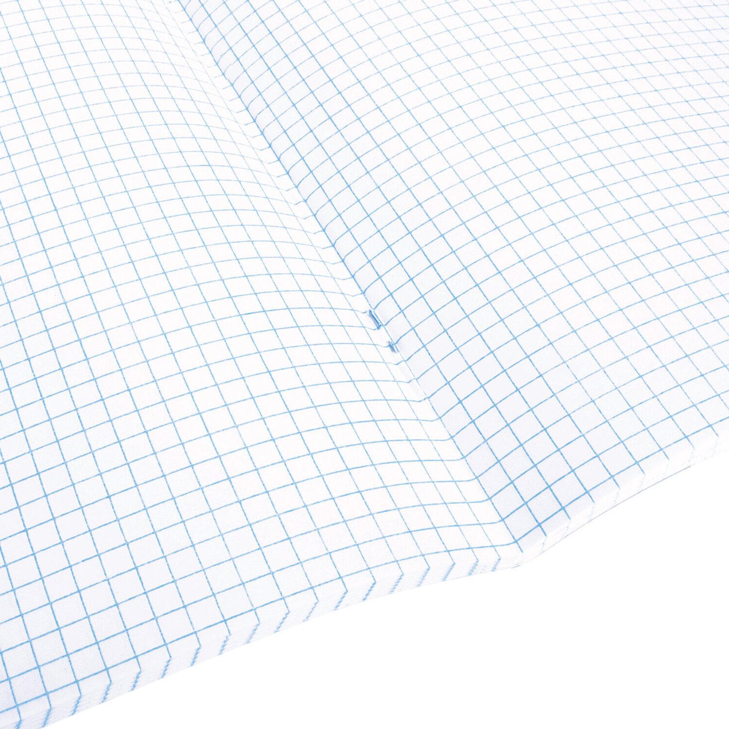  5 48 . BRAUBERG , ,  , Natural, 404359