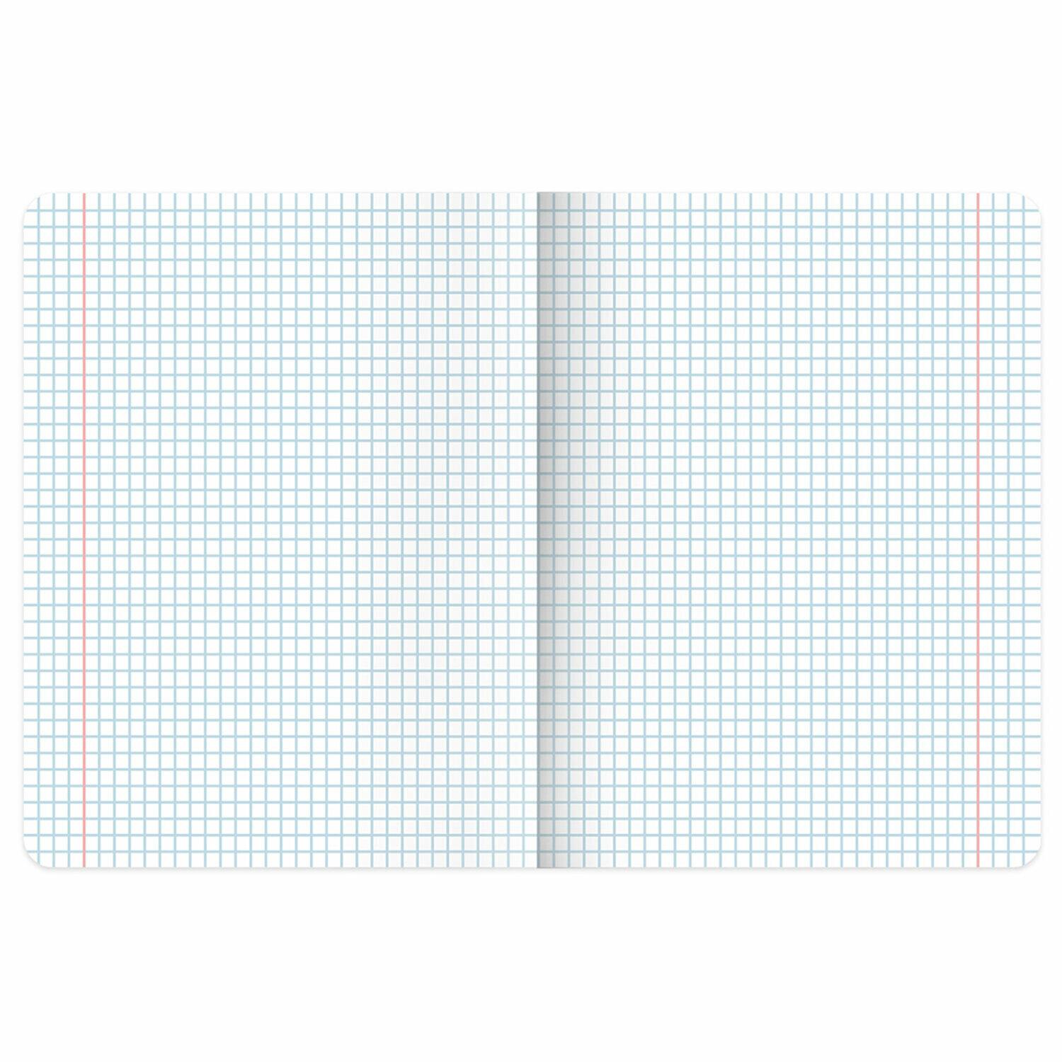  5, 48 ., BRAUBERG, , , SoftTouch, Peaceful, (  ), 405327
