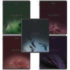  5, 48 ., BRAUBERG, , , SoftTouch, 