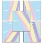  5 48 . BRAUBERG , ,  , - PASTEL, 405189