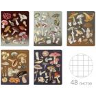 ������� �5, 48 �,. BRUNO VISCONTI, �����, ������, Soft-Touch, ������, 