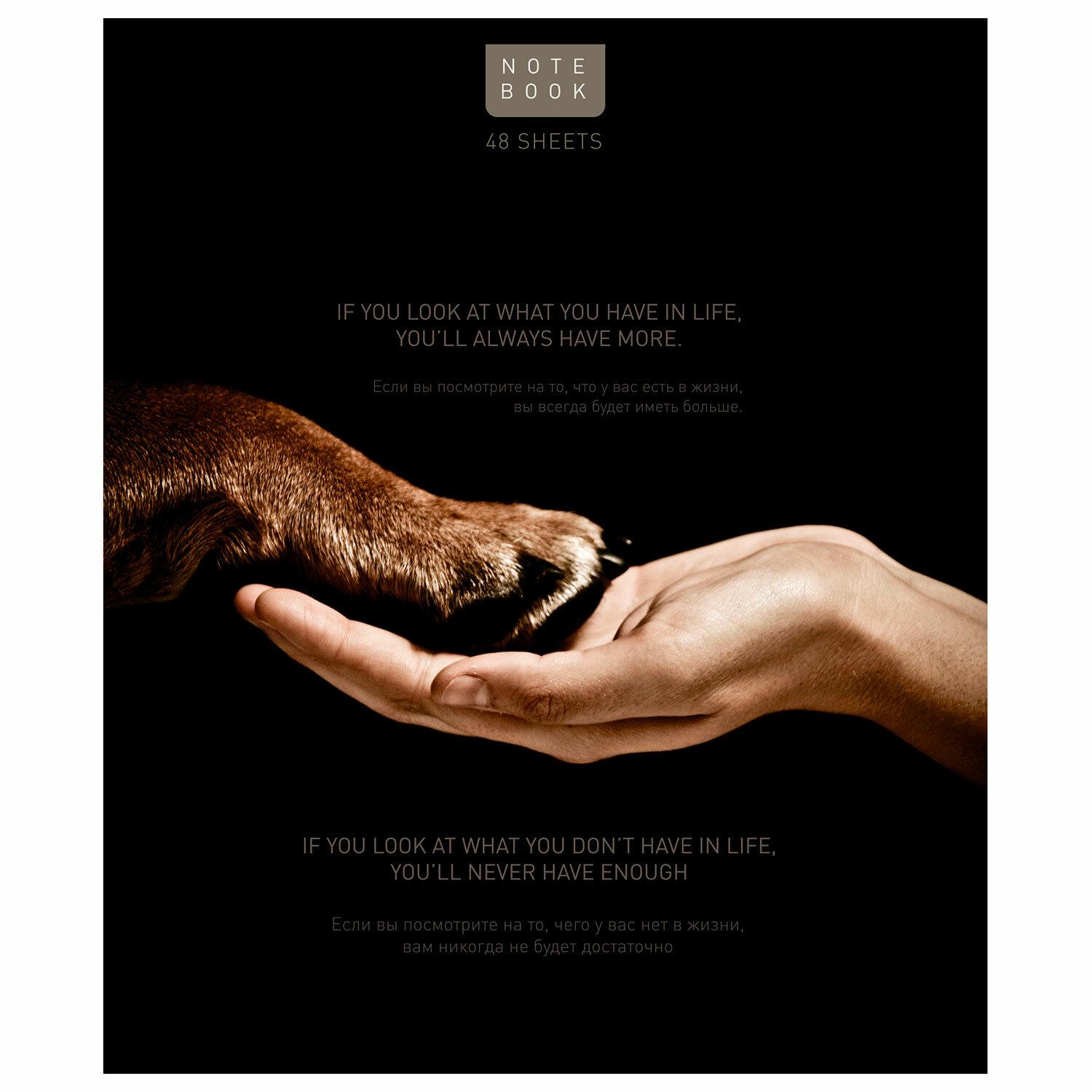 ������� �5 48 �. ����, �����, ������, �������, TWIN-���, �������� �� ���� (���� � ������), 23805