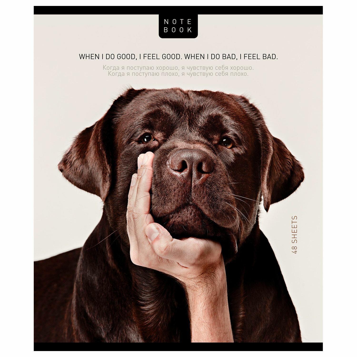 ������� �5 48 �. ����, �����, ������, �������, TWIN-���, �������� �� ���� (���� � ������), 23805