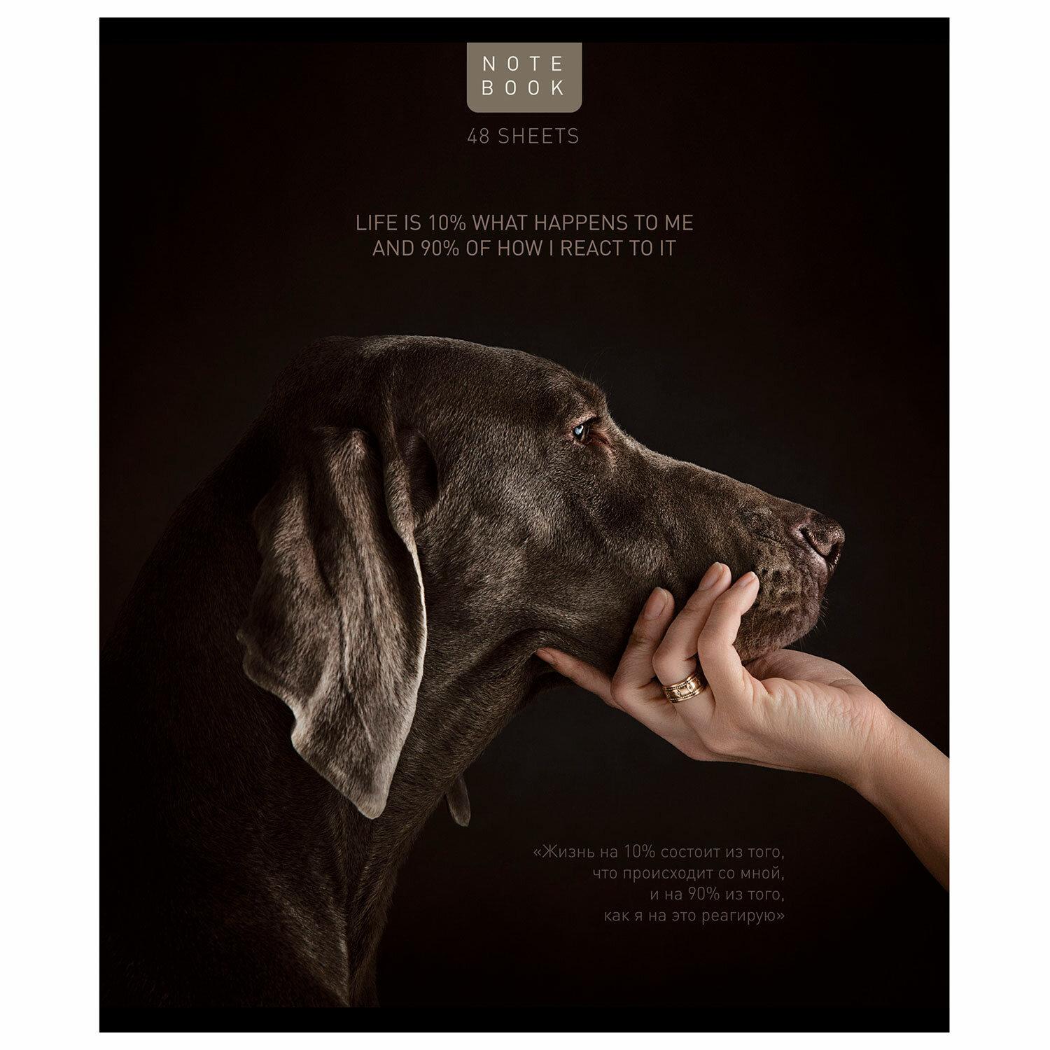 ������� �5 48 �. ����, �����, ������, �������, TWIN-���, �������� �� ���� (���� � ������), 23805