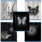 ������� �5 48 �. ����, �����, ������, ������� ���������, ���������� ���, 