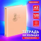    5 175215 , 120 ,  , , BRAUBERG, 