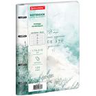 ������� �� ������� �5, 175�215 ��, 120 �., ��� ����, BRAUBERG VISTA, 