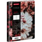 ������� �� ������� �5, 175�215 ��, 120 �., ��� ����, BRAUBERG VISTA, 