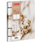 ������� �� ������� �5, 175�215 ��, 120 �., ��� ����, BRAUBERG VISTA, 