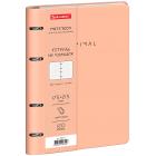 ������� �� ������� �5, 175�215 ��, 120 �., ��� ����, BRAUBERG VISTA, 