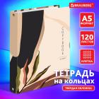    5 175215 , 120 .,  , , BRAUBERG, 