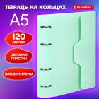    5 175220, 120, ,  ,  , BRAUBERG, , 404638