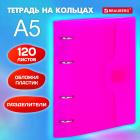    5 175220, 120, ,  ,  , BRAUBERG, , 404635
