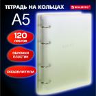    5 175220, 120, ,  , BRAUBERG, , 404629