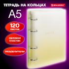    5 175220, 120, ,  , BRAUBERG, , 404628