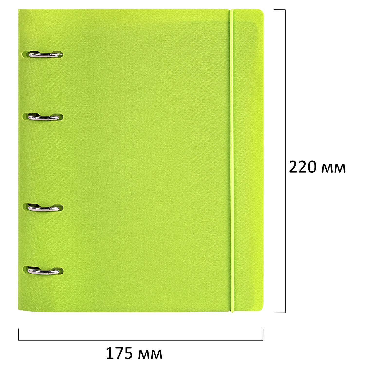    5 175220, 120, ,  , BRAUBERG, , 404619