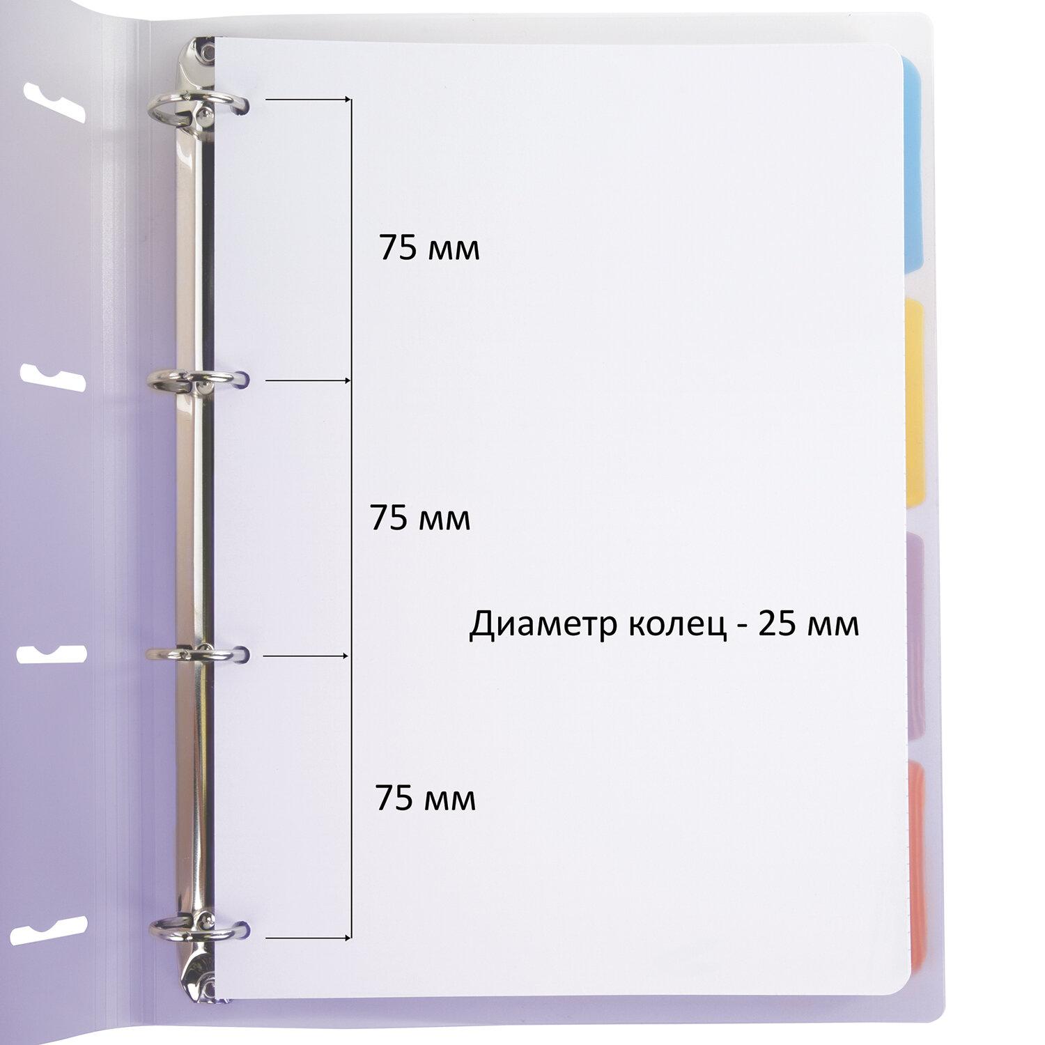     305230 4, 120, ,  , BRAUBERG, , 404623
