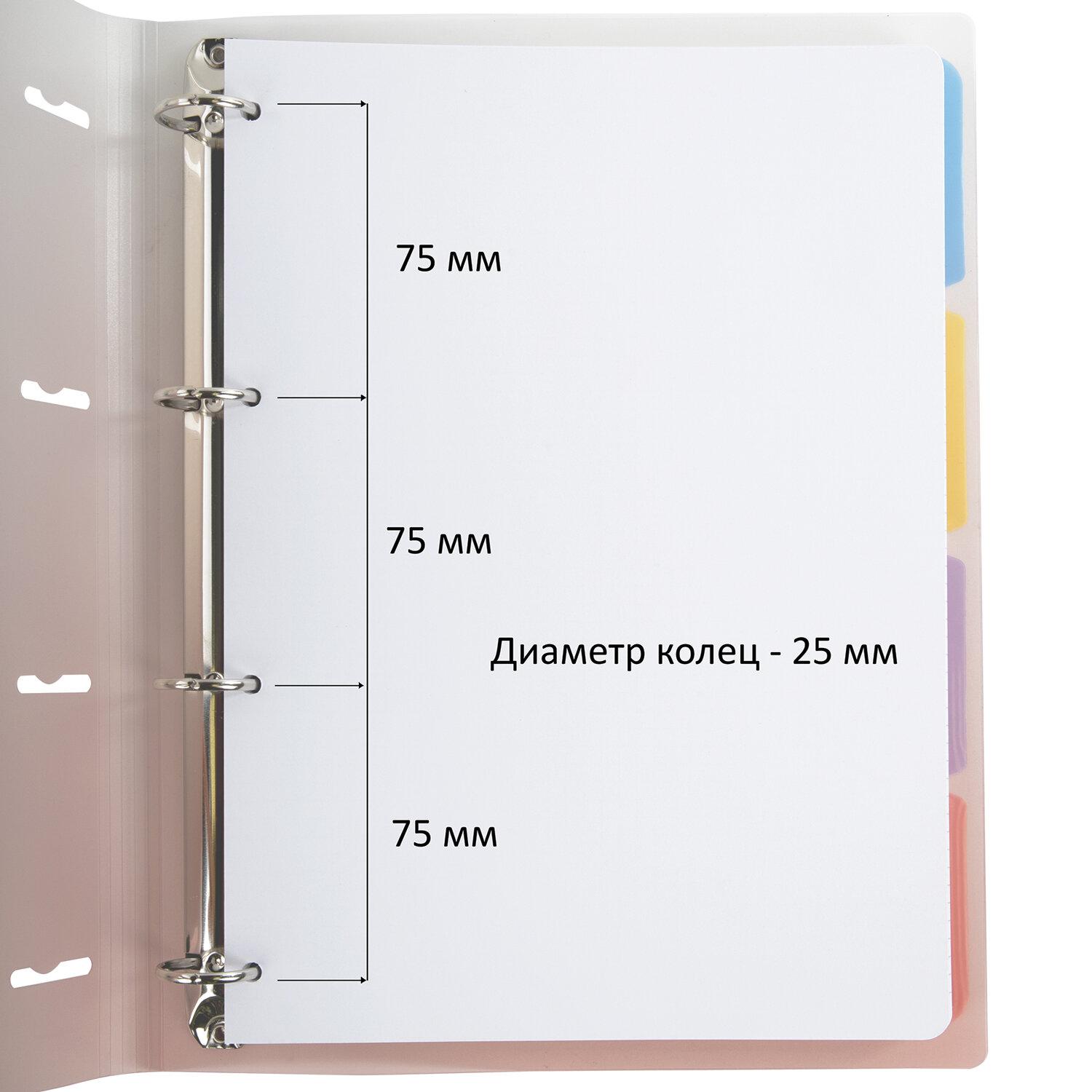     305230 4, 120, ,  , BRAUBERG, , 404626