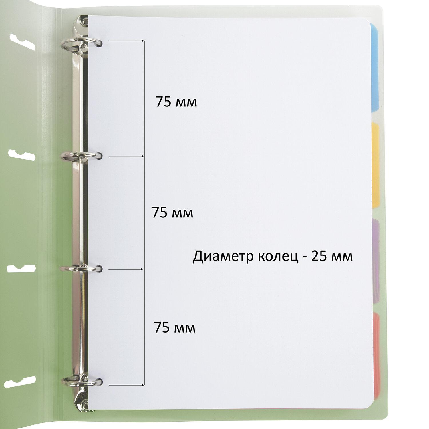     305230 4, 120, ,  , BRAUBERG, , 404625