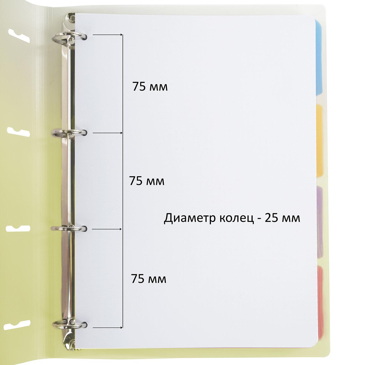     305230 4, 120, ,  , BRAUBERG, , 404624