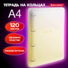     305230 4, 120, ,  , BRAUBERG, , 404624