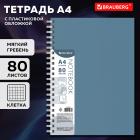   , 4 80 .,   (), , BRAUBERG, , 405356
