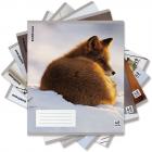  , 5 48. , , ErichKrause,  (  ), 60, 60693