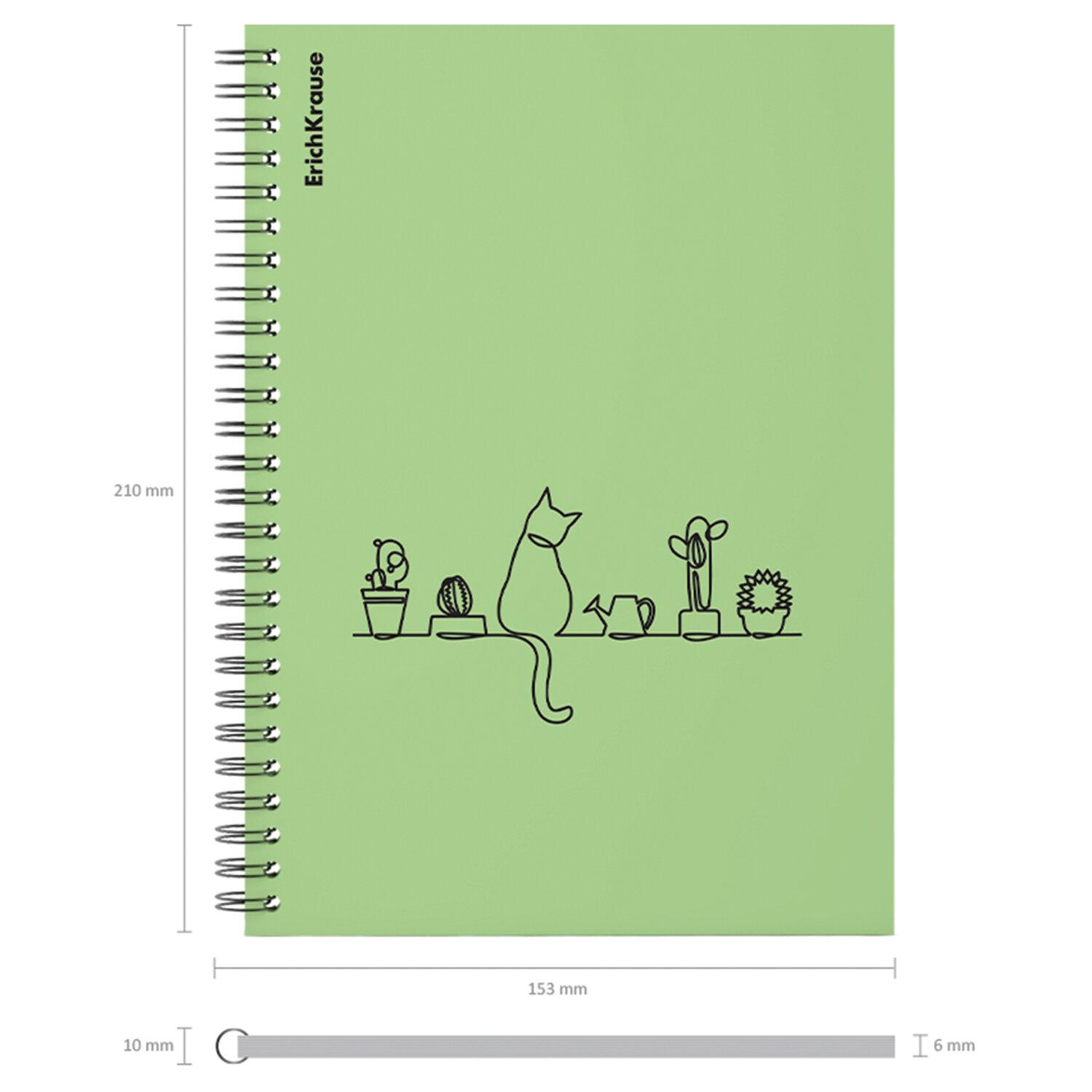   , 5 80. , , ErichKrause, Cats  (1 ), 59527